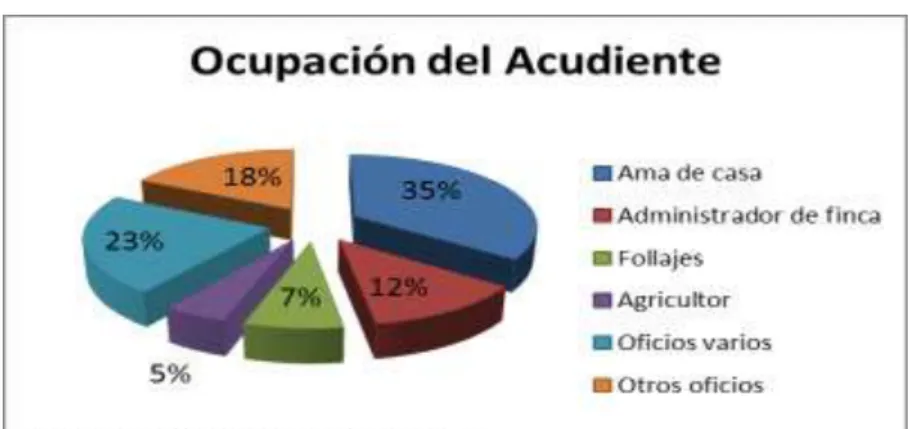 Gráfico Nº 4 