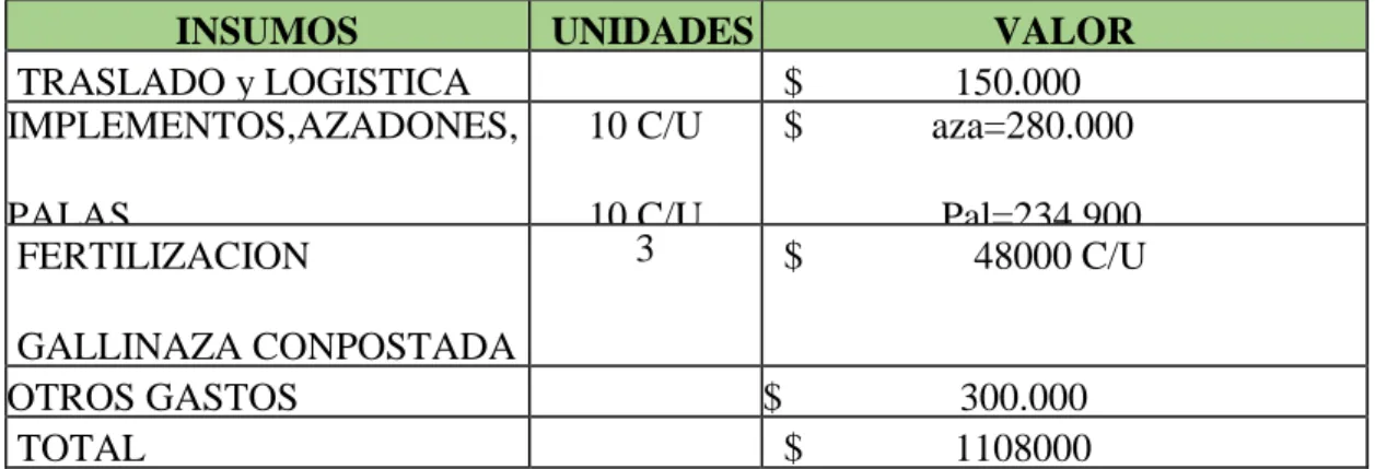 Tabla 1 Costos de insumos  