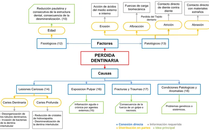 Gráfico  7. Factores y causas que determinan la pérdida dentinaria.  PERDIDA  DENTINARIA Factores  CausasFisiológicos (12)  Patológicos (13)EdadErosiónReducción paulatina y consecutiva de la estructura dental, consecuencia de la desmineralización