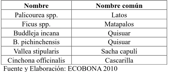 Tabla Nº 4: Especies representativas del Bosque Altoandino. 