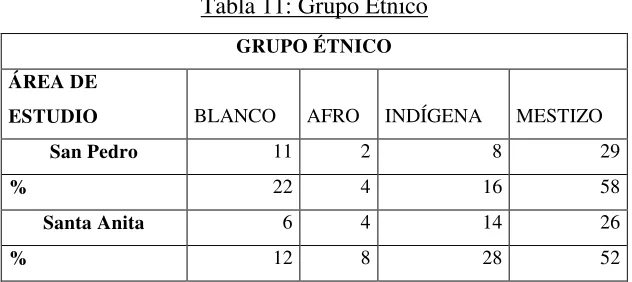 Tabla 11: Grupo Étnico 