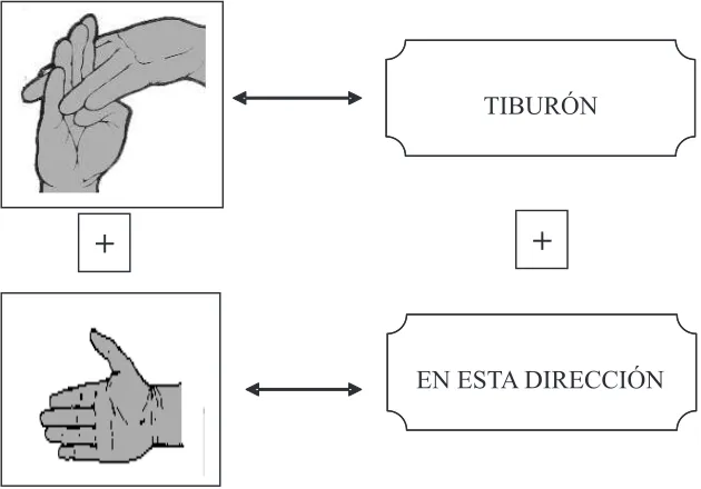 Figura 12: