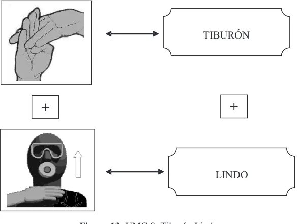 Figura 13. UMC 8. Tiburón Lindo