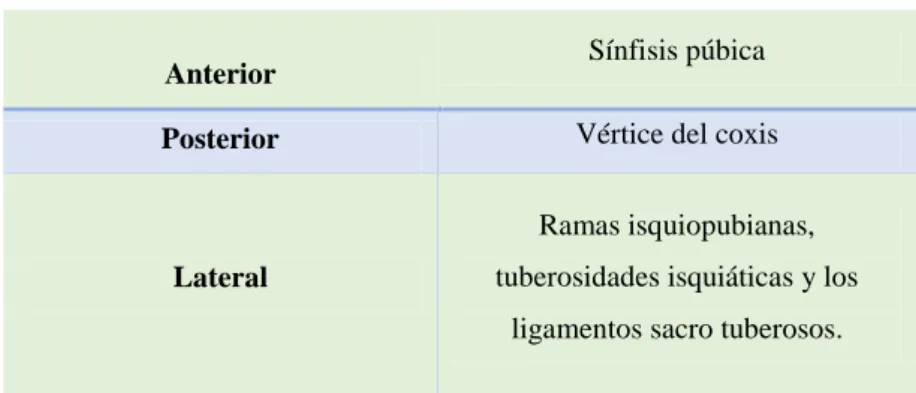 Tabla 1. Suelo Pélvico 