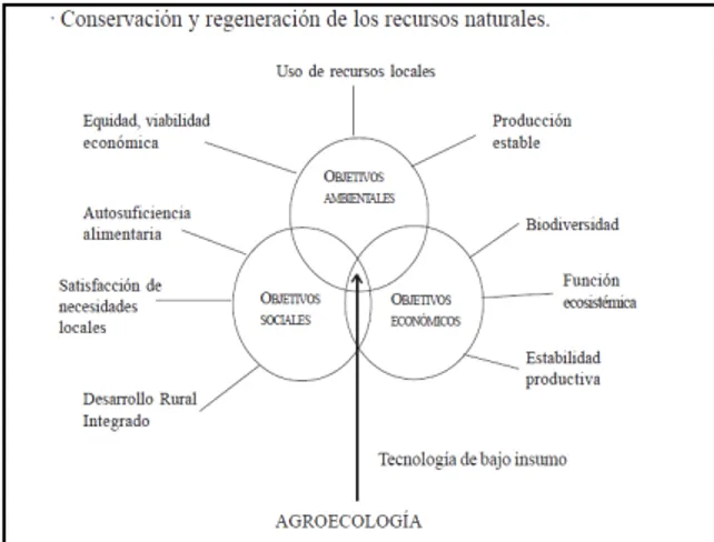 Figura 1: El rol de la agroecología en la satisfacción de los objetivos múltiples de  la agricultura sustentable 