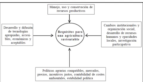 Figura 2: Requisitos de una agricultura sustentable  Fuente: Altieri&amp;Nicholls (2000)