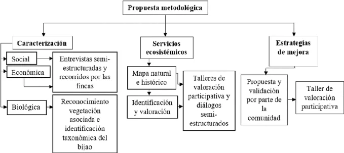 Figura 3. Propuesta metodológica. 
