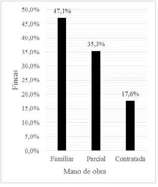 Figura 7. Mano de obra utilizada en las fincas. 