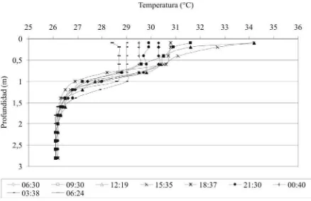 Figura฀6฀Perﬁl฀de฀temperatura.฀12-13฀de฀junio฀de฀2004