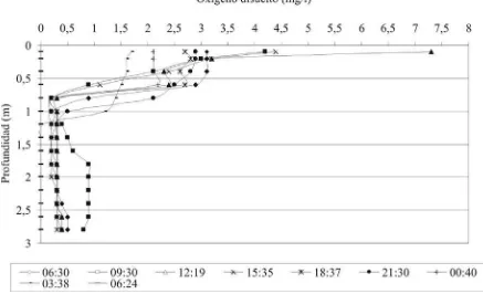 Figura฀9฀Variación฀horaria฀de฀la฀resistencia฀a฀la฀mezcla.฀12-13฀de฀junio฀de฀2004