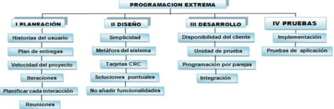 Figura 2. Jerarquía organizacional  de la programación extrema. 