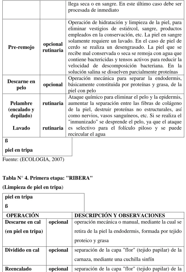 Tabla N° 4. Primera etapa: "RIBERA" 