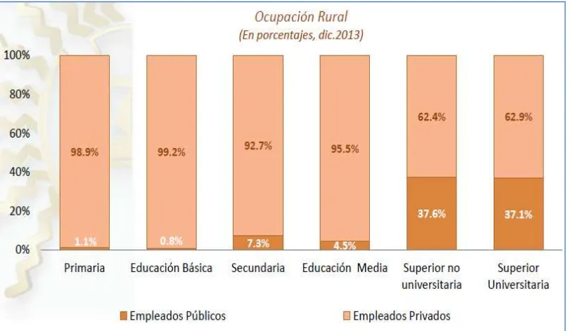 Figura 13: Ocupación rural pública y privada. En porcentajes. Fuente:Banco Central del Ecuador, 2013