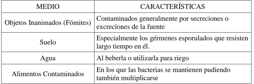 CUADRO N°10 