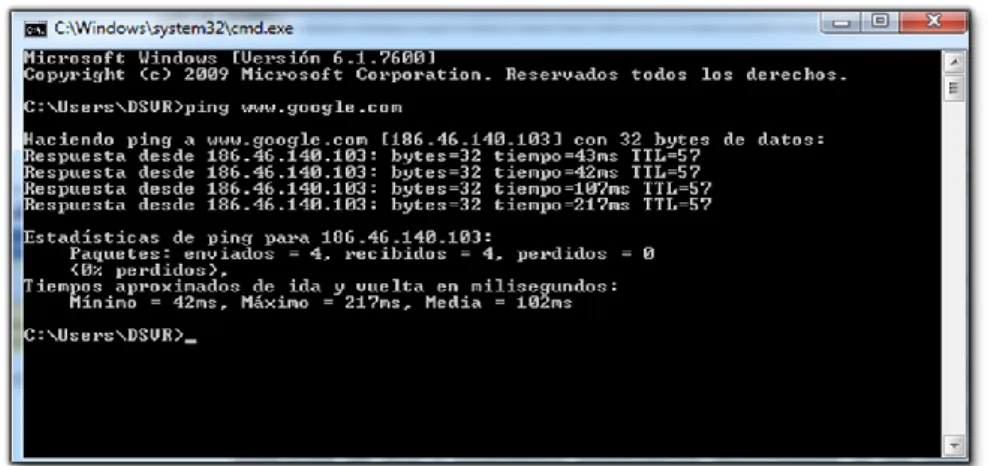 FIGURA No. 5 COMANDO PING 