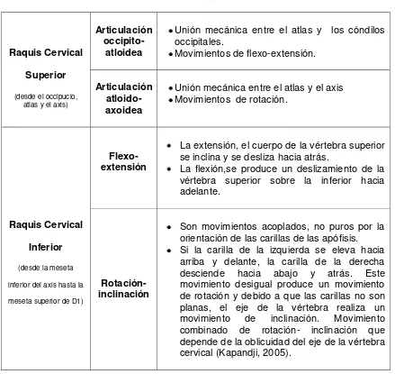 TablaN°1 Biomecánica del raquis cervical 