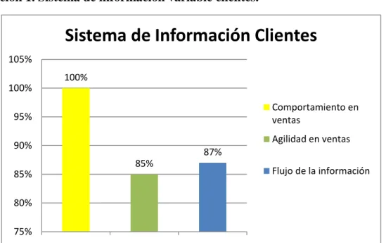 Ilustración 1. Sistema de información variable clientes. 