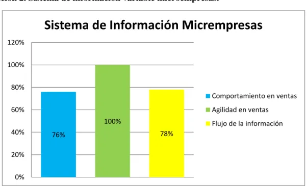 Ilustración 2. Sistema de información variable microempresas. 