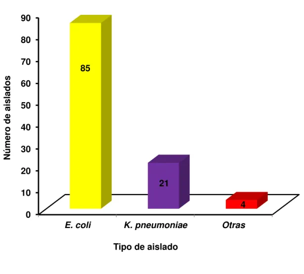 Figura 2  Frecuencia  de  bacterias entéricas  halladas  en  los  110  aislados  en análisis