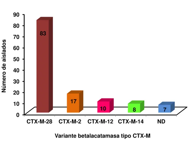 Figura 10  Frecuencia  de  las  enzimas  betalactamasas  tipo  CTX-M.   En  110  aislados,  CTX-M-28,  83/103  (66,4  %);  CTX-M-2,  17/110  (13,6  %);  CTX-M-12, 10/103 (8,0 %); CTX-M-14, 8/103 (6,4 %) y no definidos  7/110 0102030405060708090 CTX-M-28 CT