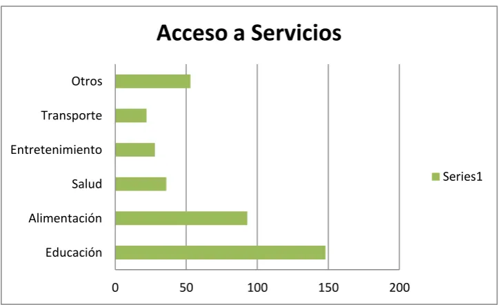 Tabla 6- Acceso a Servicios 