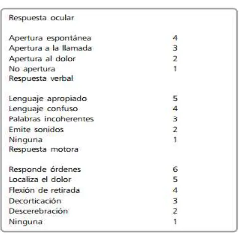 Tabla 6. ESCALA DE GLASGOW. 