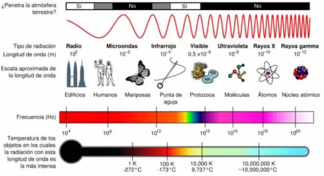 Figura 5 Espectro electromagnético 