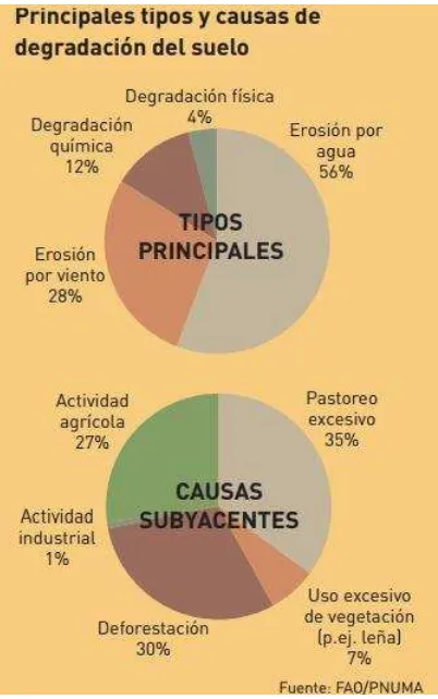 Figura 2.  Tipos y causas de la degradación del suelo 