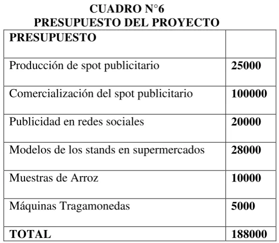 CUADRO N°6 PRESUPUESTO DEL PROYECTO 