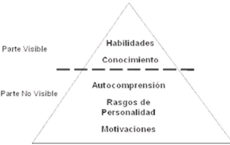 Figura 1.  Modelo sobre competencias  
