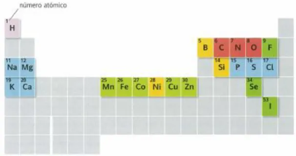 Figura  2: En esta tabla periódica señala solamente los elementos químicos presentes en  los seres vivos