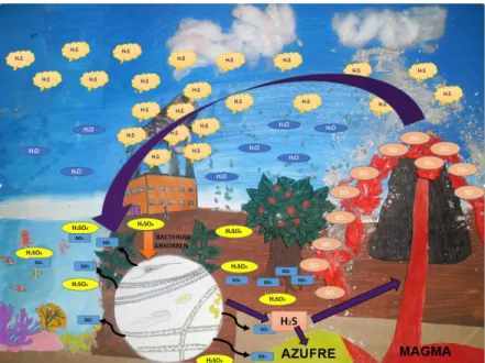Figura  8:  Se  observa  cómo  se  da  los  procesos  dentro  del  ciclo  del  azufre  desde  la  atmósfera  y  como  actúa  en  el  ecosistema