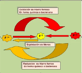 Figura  11: Se puede observar como fluye la energía, y los procesos que se dan en el ciclo  del hierro como la Oxidación y reducción de este elemento fundamental en la naturaleza