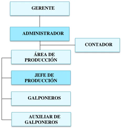 Gráfico 1 Organigrama estructural de la Granja Avícola San Martín. 