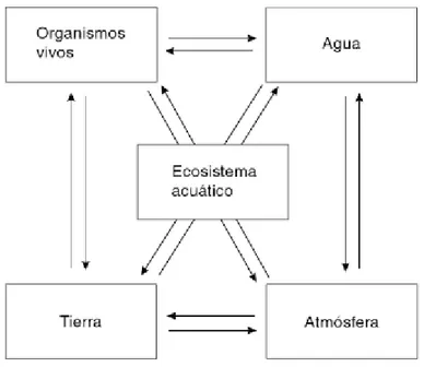 Figura 1.Interacciones en el Ecosistema Acuático (Roldán y Ramírez, 2008, p.16) 