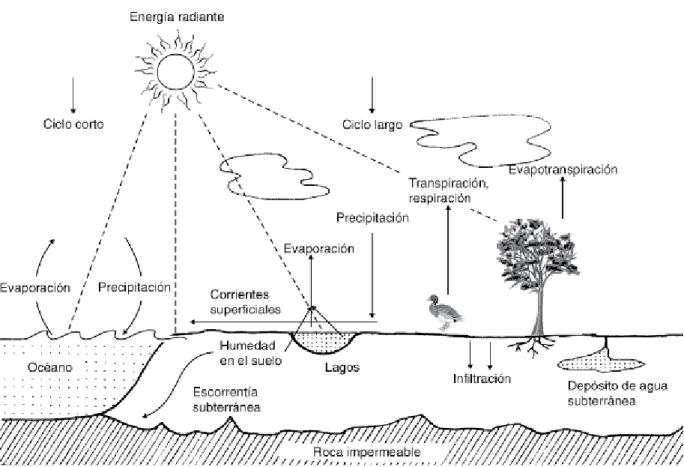 Figura 2. Rutas del ciclo hidrológico (Roldán y Ramírez, 2008, p.22) 