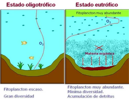Figura 3. Ecosistemas acuáticos oligotróficos y eutróficos. Recuperado de: 