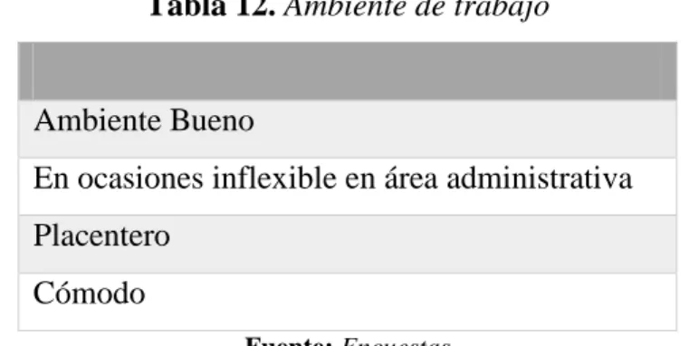 Tabla 12. Ambiente de trabajo 