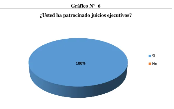 Gráfico N°  6 