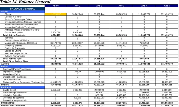 Tabla 14. Balance General