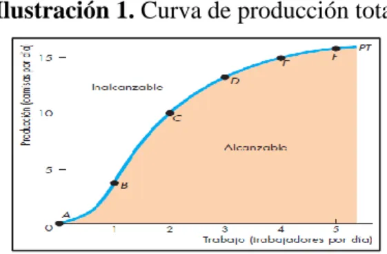Ilustración 1. Curva de producción total 