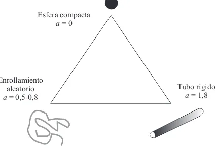 Figura 1 Triángulo de Haug [14,17]