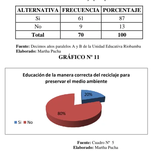 GRÁFICO Nº 11 