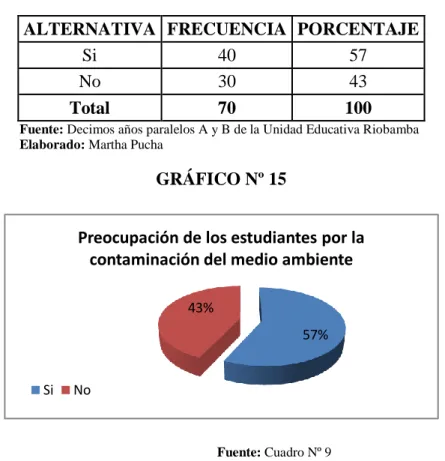 GRÁFICO Nº 15 