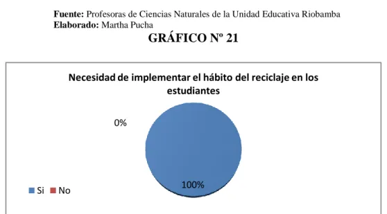 GRÁFICO Nº 21 