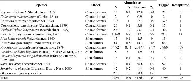 Table 1. Numerical and biomass abundances during four migratory seasons (August 2010, February 2011, August 2011 and February 2012), for potamodromous species captured in La Miel River Basin, number of tagged individuals and recovered data of each species