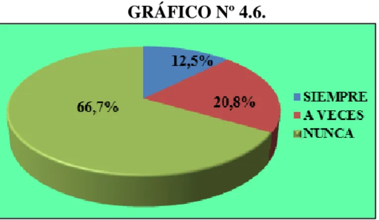 GRÁFICO Nº 4.6. 