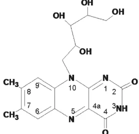 Figura 3.  Estructura química de la riboflavina con átomos numerados.  Tomado de Guzmán (2008)