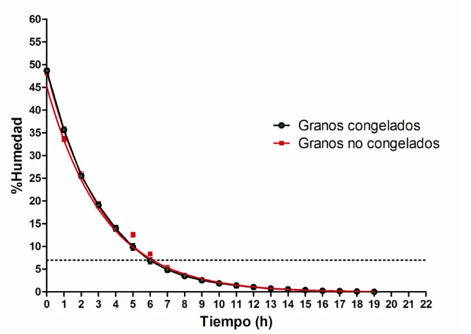 Figura 4.  Comparación de los perfiles de humedad de granos de cacao almacenados o no a -20ºC