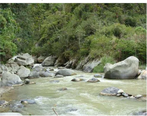 Foto 1: Rio Chirapi  – Zona cercana a la Comunidad de Nuevo Pacto 
